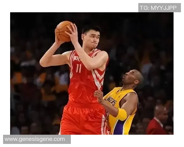 姚明在NBA的传奇之路与封神之战的辉煌历程回顾