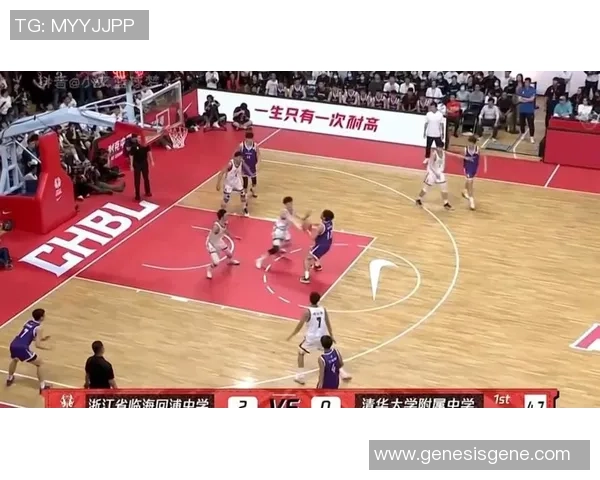 当球迷邂逅姚明的那一刻，梦想与现实交织的精彩瞬间