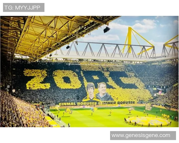 欧冠精彩对决：多特蒙德大胜本菲卡红牌事件引发全场热议